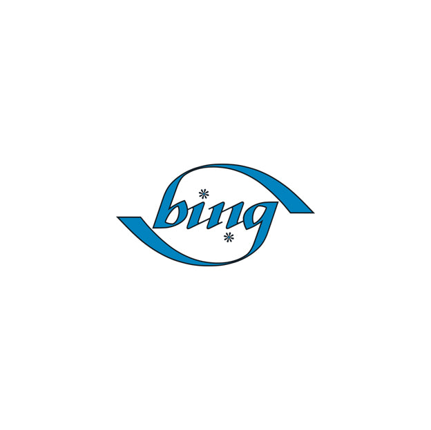 Bing Ambigram Sticker - Small