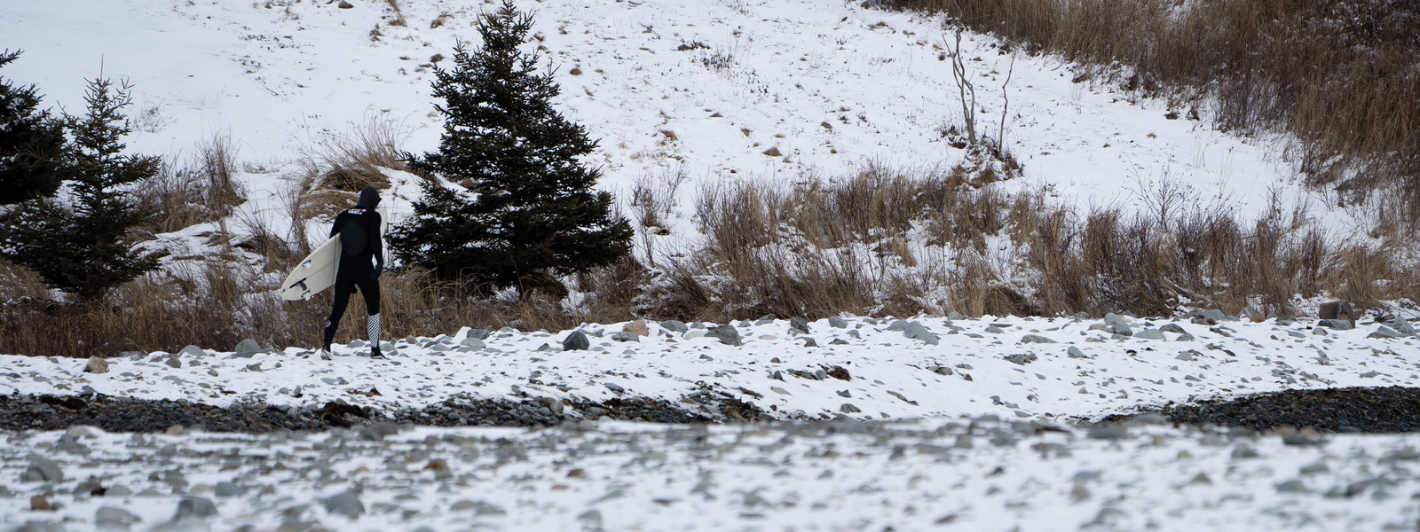 AN INTERVIEW WITH PHOTOGRAPHER, VIDEOGRAPHER AND LIFE ENTHUSIAST, TOM TERRELL